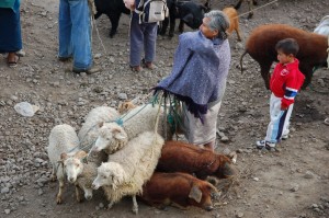 Viehmarkt-Otavalo, Ecuador