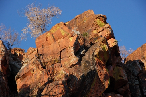 Waterberg (4)