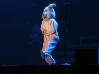IMG_1139